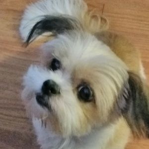 Meet your Posher, Djuana